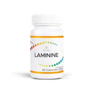 Laminine LifePharm 30 capsule