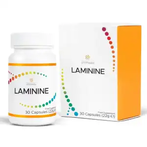Laminine LifePharm 30 capsule