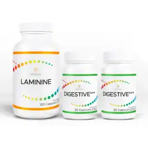 Laminine+2digestive