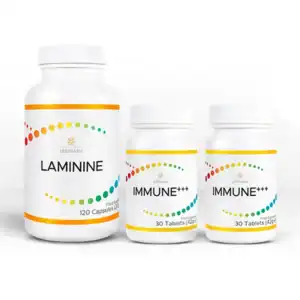 Laminine+2immune