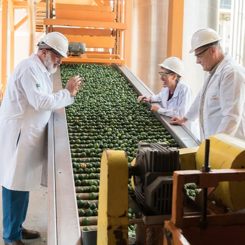 Geen Mandarin™ dōTERRA