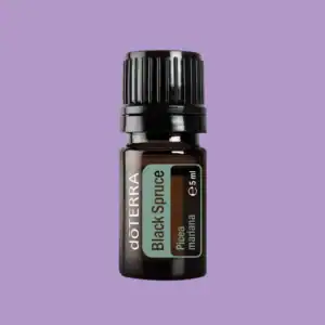 Black Spruce™ doTTERA