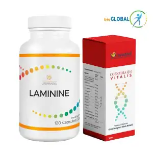 Suplimentare premium pentru sănătate: Laminine, Coenzima Q10 Vitalis.