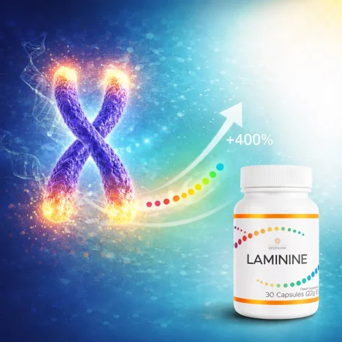 Laminine pentru sănătatea telomerilor