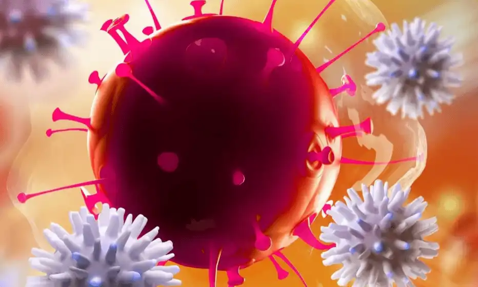 IMMUNE+++ Luna 2 - Beneficii pe termen mediu, raspuns imunitar si energie