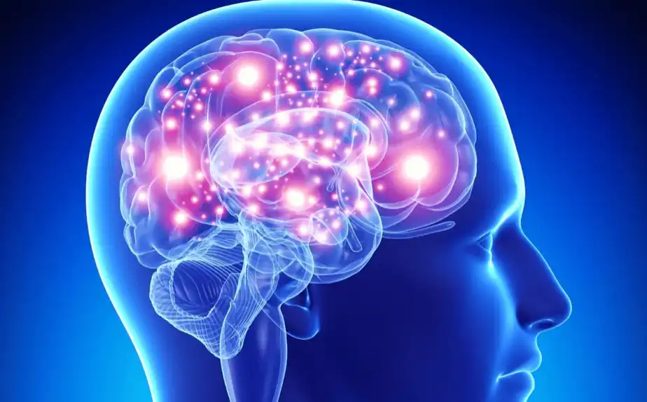 OMEGA+++ Luna 1 - Beneficii pe termen scurt, sprijin cerebral și antiinflamator