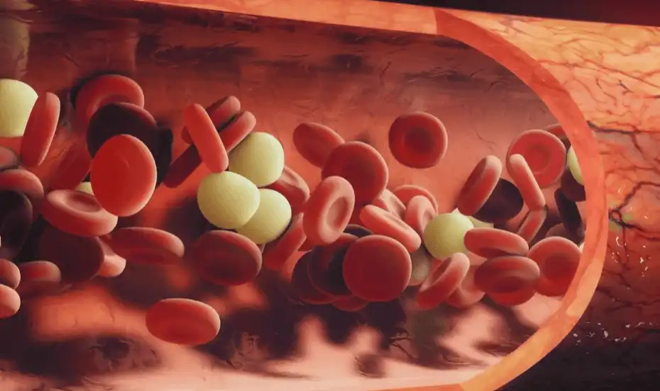 OMEGA+++ 3 luni si mai mult - Beneficii pe termen lung, densitate osoasa si sanatate cardiovasculara